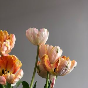 Meet your Posher, Yael